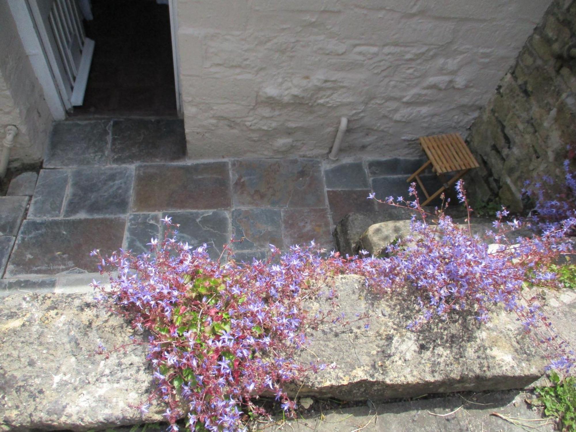 Dunraven Cottage Bath Exterior photo